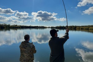 Сельские жители Астраханской области увеличили онлайн-активность