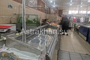 На астраханские рынки не торопится возвращаться рыба