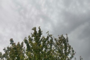 Сегодня в&#160;Астраханской области возможен дождь
