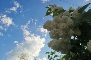 Вторник в&#160;Астрахани будет облачным и&#160;прохладным
