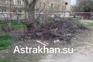 Коммунальщики несколько лет не вывозят из астраханского двора опиленные ветки