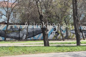 Когда стены могут говорить: как развивается стрит-арт в Астрахани