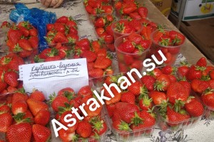 Сколько стоит астраханская клубника в мае?