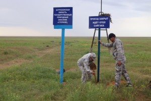 Астраханский заказник «Степной» закрыли для посещения
