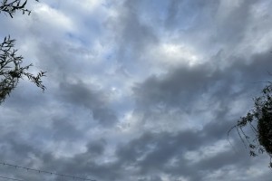 11 мая в&#160;Астраханской области будет дождливо