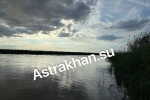 Астраханцы активно комментируют паводок в регионе