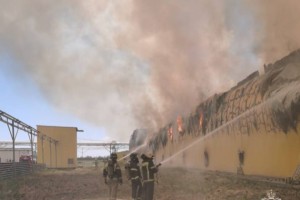 Около 166 тысяч кур погибли при пожаре на астраханской птицефабрике