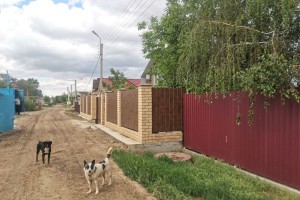 Астраханским дачникам грозит штраф до 300 тысяч за выращивание некоторых растений