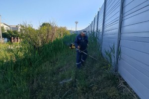 В Астрахани продолжают бороться с камышом