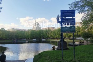 Внезапно: астраханцы рассказали, чем Лебединое озеро похоже на Патриаршие пруды