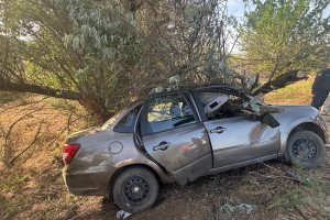 В Астраханской области женщина врезалась в&#160;дерево и&#160;погибла