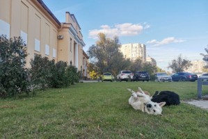 Проект высотной застройки на Эллинге в&#160;Астрахани снова вынесли на обсуждение