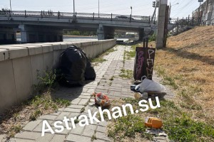 Астраханка хотела убрать мусор с&#160;набережной Кутума и&#160;обнаружила неприятную находку