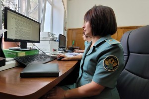Владельцев &#171;серых&#187; иномарок могут оштрафовать на сотни тысяч рублей