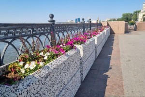В Астрахани активно высаживают цветы