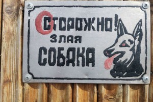 В Астраханской области прокуратура взыскала компенсацию после нападения собаки на ребенка