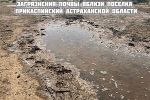 В Астраханской области на почву массово разлились фекалии