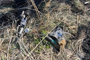 В Астраханской области нашли виновника крупного ландшафтного пожара