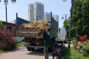 В Астрахани за выходные дни расчистили 62 свалки