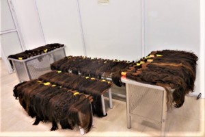 Таможенники задержали иностранку с&#160;крупной партией человеческих волос