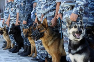 Кинологи МЧС России отмечают профессиональный праздник