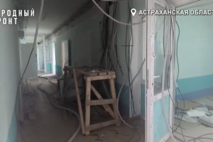 По больнице в&#160;селе Марфино вместо больных бегают кошки и&#160;собаки