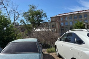Астраханцы опасаются, что сгорят их авто из-за огромной кучи сухих веток во дворе пятиэтажек