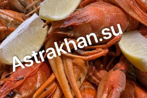В Астраханской области нелегально продают раков: сколько стоит &#171;запрещенка&#187;?