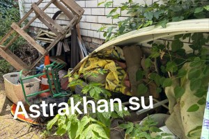 Астраханцам рассказали, как избежать встречи с&#160;ядовитыми пауками