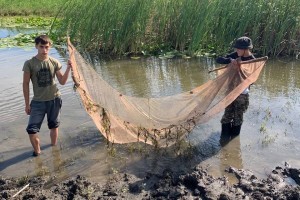 В Астраханской области &#171;Голубой патруль&#187; спасает рыбную молодь из отшнурованных водоемов