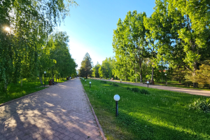 8 июля в Астрахани снова будет жарко