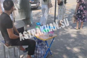 Астрахань превращается в Анапу: на улицах города стали продавать черепах