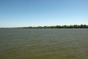 Стало известно, сколько воды будет получать Астраханская область в&#160;ближайший месяц