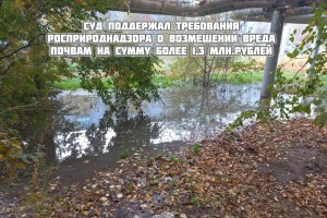 В Астрахани фекалии загрязнили почву на 1,3 миллиона рублей