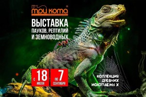 Выставка пауков &#171;Тайна паутины&#187;