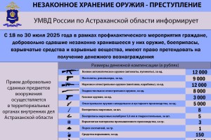 Астраханцы могут легально сдать оружие и&#160;получить деньги