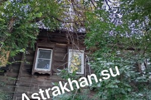 Астраханцы жалуются на угрозу падения огромных сухих&#160;веток
