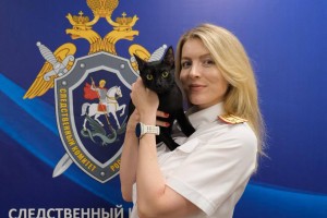 Спасти Филю: жизнь на полосе встречного движения