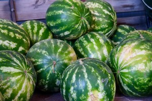 Астраханцы снова собирают помощь для фронта
