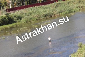 Астраханцы жалуются на критическое обмеление местных водоемов
