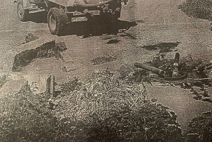 Астраханцы продолжают нелегально загрязнять регион мусором