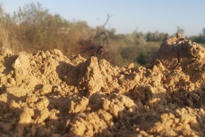 В Ставропольском крае почва разогрелась до 66 градусов
