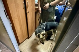 За несколько дней астраханские полицейские обнаружили почти 200 боеприпасов и&#160;полтора килограмма наркотиков