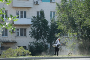 В Астрахани продолжается борьба с сорной растительностью