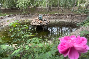 Жарко и солнечно: неделя в Астрахани начнется ярко