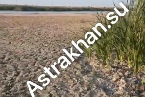 Астраханской области не хватает денег на обводнение западных подстепных ильменей