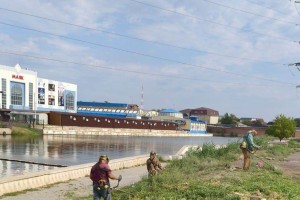 В Астрахани ежедневно идет борьба с сорняками