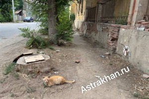 Полоса препятствий: астраханские тротуары удручают и&#160;возмущают