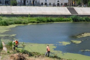 В Астрахани чистят акваторию &#171;Стрелки&#187;