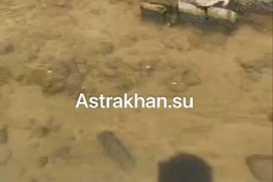 Астраханцы пожаловались на состояние дна городского канала